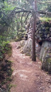 20150815_v_mont sainte odile.jpg