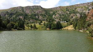 20150817_zo_lac vert.jpg