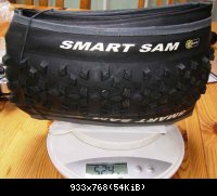 Schwalbe Smart sam 2006 : 524gr