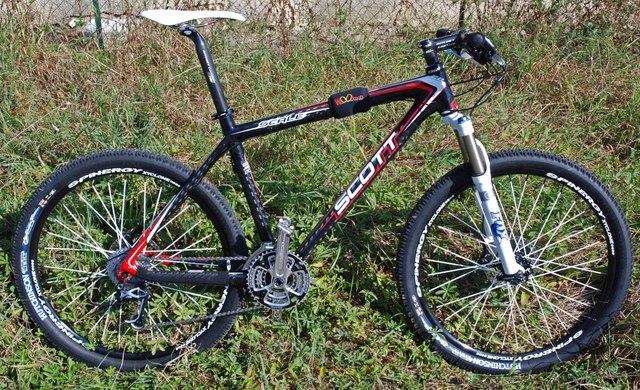 scott scale 30 2008
