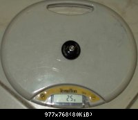 FSA  2004 : 25gr