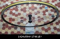 Spinergy Xaero Lite 2008 : 709gr